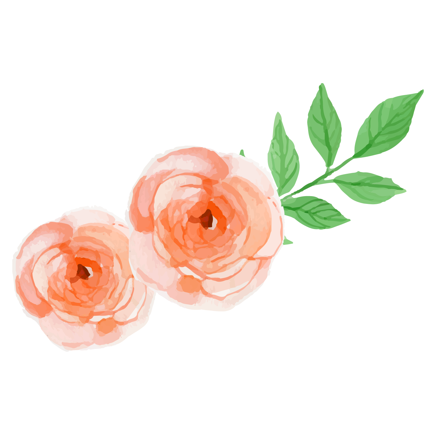 The Bright Yard Shop